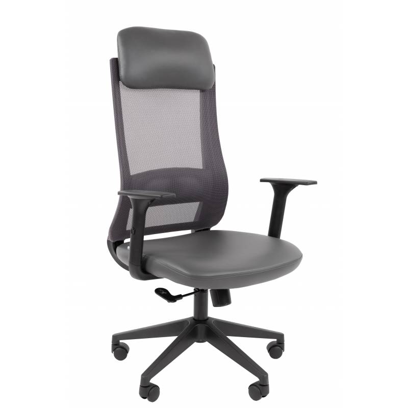 Кресло руководителя Chairman 500LT Россия экокожа серый/TW-04 серый главное фото